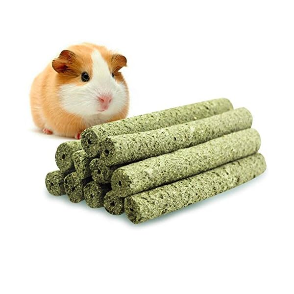 interactive guinea pig toy