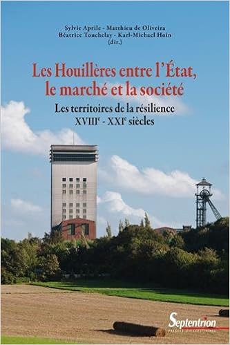 Amazon Fr Les Houilleres Entre L Etat Le Marche Et La Societe Les Territoires De La Resilience Xviiie Xxie Siecles Aprile Sylvie Oliveira Matthieu De Touchelay Beatrice Hoin Karl Michael Collectif Livres