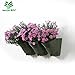 Worth Garden Olive Green Self-Watering 1 Set - 3 Pockets Vertical Wall Garden Planters