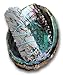 Picki Nicki Happy Home Energy Cleansing Kit with White Sage Smudge Stick Bundle for Burning, Smudges, Incense with Abalone Shell