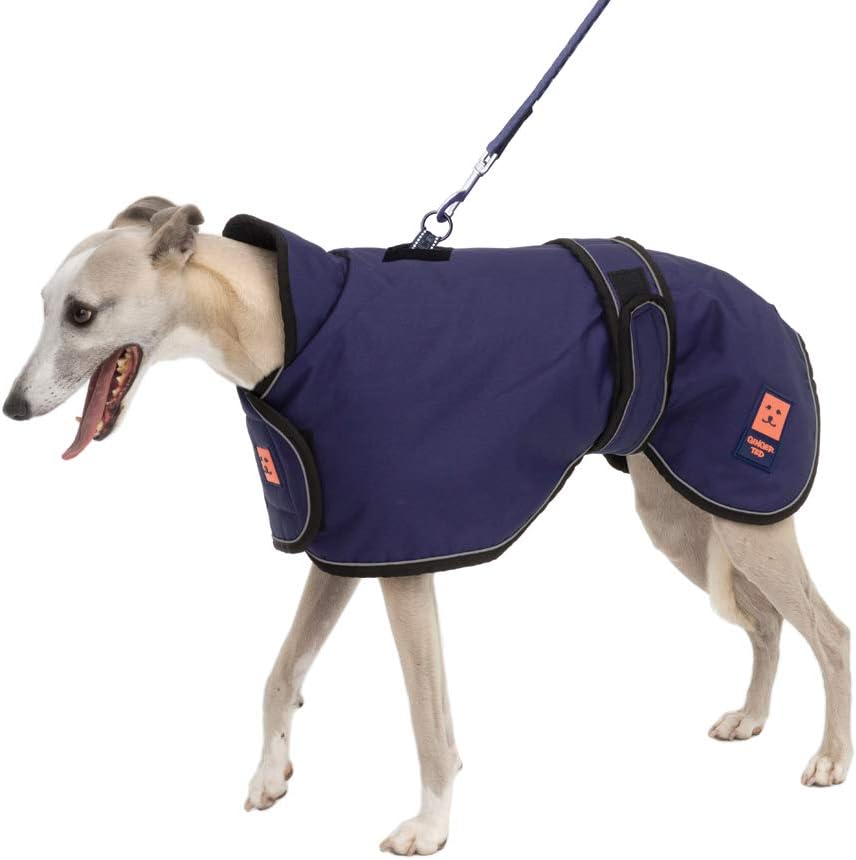 blizzard lurcher coat