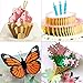 Aloha Cards 3D Pop Up Greeting Cards For Birthdays, Thank You, All Occasions/Packaged with Envelope Protective Bag (4 Pack: Butterfly, Lily Bouquet, Cupcake, Birthday Cake)