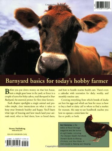 Barnyard In Your Backyard A Beginner S Guide To Raising Chickens