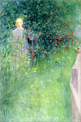 Posterlounge Leinwandbild 120 X 180 Cm In Der Weissdornhecke Von Carl Larsson Bridgeman Images Fertiges Wandbild Bild Auf Keilrahmen Fertigbild Auf Echter Leinwand Leinwanddruck Carl Larsson Amazon De Kuche Haushalt