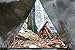 SURVIVOR X Emergency Shelter Tube Tent - Paracord 550 (Military Grade) Suspension - Super Lightweight Space Blanket Material to Reflect & Retain 99% Body Heat - Integral Part of a Zombie Survival Kit