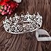 Eseres Silver Crown for Men Kings Crowns Full Round Fleur De Lis Prom King Crown for Birthday