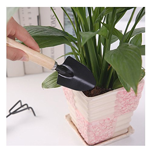 KNASI Bonsai Tools Kit, Succulent Garden Hand Tools For Women and Man, Miniature Indoor Gardening Set 8 pcs in a bag -Include Pruner, Fold Scissors, Mini Rake, Bud, Cleaning Brush & Leaf Trimmer - Thumbnail 3