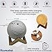 Led Moon Nightlight Lamp 5.1 Inch w/ Wooden Base. 3 Cool/Warm Color Lights. Child’s Room, Living Room, Dining Room, for a Decorative Fun or Romantic Atmosphere. Novel Gift by Homabe