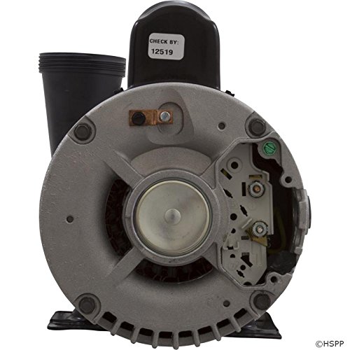 Waterway 3711621-13 4HP 230V 1-Speed 56 Frame Executive Pump