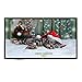 FUN 100 inch Projection Screen 16:9 HD Portable Movies Screen PVC Fabric for Projector Home Theater Outdoor