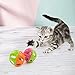 HOLICOLOR 25 Pieces Cat Toys for Kitten Includes Wand, Massager, Balls, Bells, Mice, Catnip Cushion & More (Colorful)