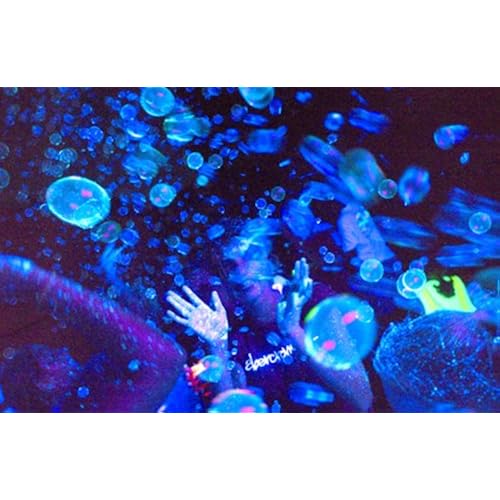 Tekno Bubbles :: Blacklight Sensitive UV Bubbles (Blue) Toys & Games, Sports & Outdoor Play, Bubbles