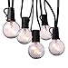 Icicle Globe String Lights, Connectable 25Ft G40 Crystal Bulbs by UL for Indoor/Outdoor, Patio, Lawn, Garden, Party, Wedding, Bistro Café, Seasonal Holiday and Christmas (Black)