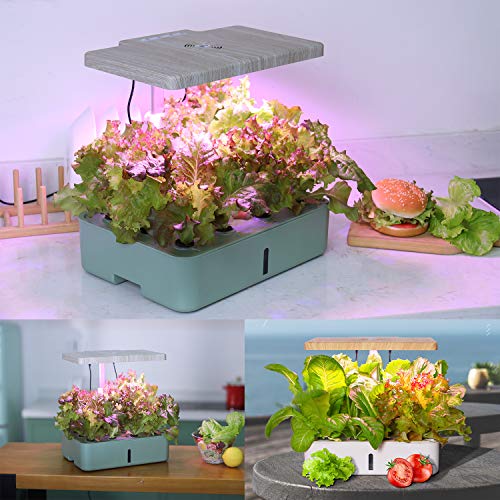moistenland Indoor Hydroponic Garden, Hydroponics Growing System