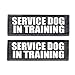 Service Dog in Training Patch with Hook Back and Reflective Lettering for Service Dog in Training Vests (Large - 2