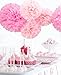 Tissue Paper Flowers By Festival Hands-5pcs,Pink,2 Sizes,Pom Poms Decor,Parties Decorations ,Tissue Paper Pom Poms,Baby Shower Party Supplies,Tissue Paper Pom Poms Pink,Paper Tissue Pom Poms
