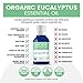 Eucalyptus Organic Essential Oil from Ancient Apothecary, 15 mL - Certified Organic, 100% Pure and Therapeutic Grade
