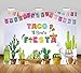 Mocsicka Mexico Fiesta Backdrop Taco Bout a Fiesta Party Photography Background 7x5ft Vinyl Fiesta Theme Dress-up Party Supplies Banner Fiesta Event Decoration