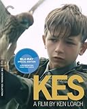 KES / BD                                           image