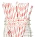 Just Artifacts Premium Disposable Drinking Paper Straws (100pcs, Light Pink/Fuchsia/Metallic Gold)