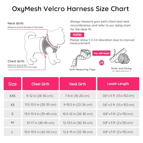 BELLA & PAL Dog Vest Harness for Small Medium Dogs, No Pull Dog Harness for Small Dogs with Leash,Comfortable Air Mesh Dog Harness with Reflective Strip(Hot Pink,XXS)