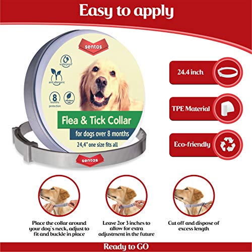 Dog Flea and Tick Collar - Flea and Tick Prevention for Dogs Up to 1 Year Easily Adjustable and Waterproof for Large Small Dogs Flea and Tick Control - Natural Dog Flea Collar for Pet 24.5