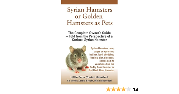 hamster feeding guide
