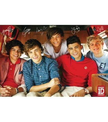 Amazon.com: Hot Stuff Enterprise Z145-24x36-NA One Direction