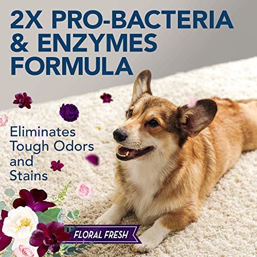Simple Solution Pet Stain and Odor Remover Enzymatic Cleaner with 2X