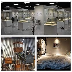 Xking 12V 1W LED Spotlight/Cabinet Light/Display