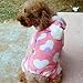 haoricu Pet Clothing, Velvet Hoodie Dog Costume Small Dog Cat Pet Clothing Puppy Apparel Dog Autumn Winter Jumpsuit (A Pink, Small)