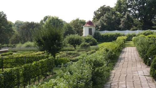 George Washington's Eye: Landscape, Architecture, and Design at Mount Vernon