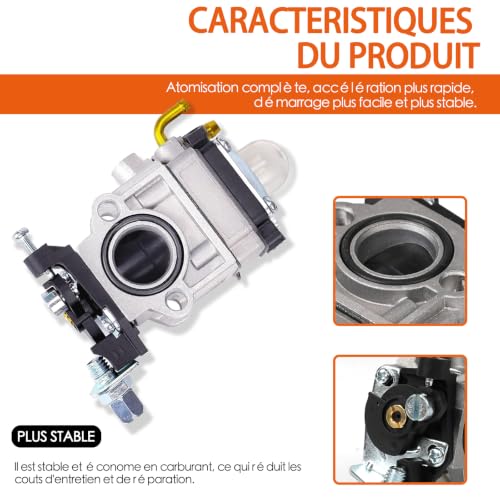 Carburetor for 52cc 49cc 43cc Brushcutter, Complete Accessory Kit Included, Fits a Wide Variety of Lawn Mowers, Brushcutters and Chain Saws
