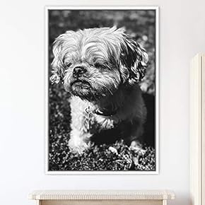 signwin Framed Canvas Wall Art Duotone Pupper Animals...