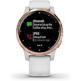 garmin vivoactive 4s pay