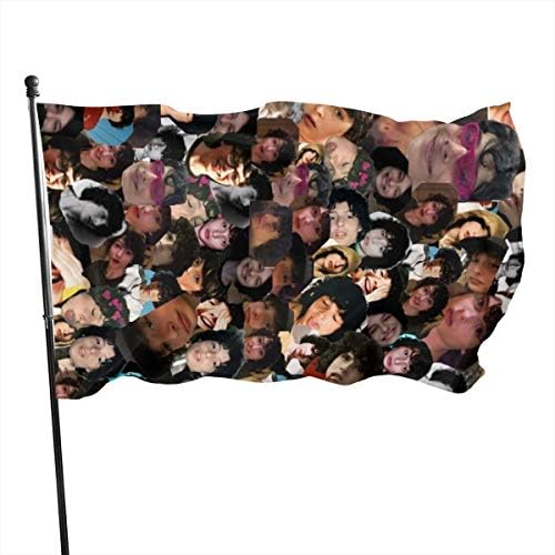 Honghuawenhua Fashion Large Finn Wolfhard Music Concert Party Flag 3 X 5 Ft