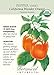 California Wonder Orange Pepper Seeds-200 mg-Organic