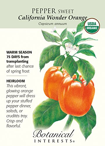California Wonder Orange Pepper Seeds-200 mg-Organic California Wonder Orange Pepper Seeds-200 mg-Organic