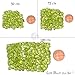 GemMartUSA Loose Gemstone 100+ Carats of Real Natural Peridot Mix Gemstones Lot in Mixed Shapes and Sizes. Grade A Quality, Incredible Wholesale Price. Prepared (PT-60001)