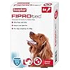 Beaphar-Fiprotec-Spot-On-Medium-Dog-6-Pipettes Beaphar | FIPROtec Spot-On for Medium Dogs (10– 20kg) | Kills Fleas & Ticks | Vet Strength Treatment | 6 Pipettes