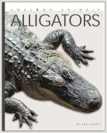 Amazing Animals: Alligators: Riggs, Kate: 9780898126891: Amazon.com: Books