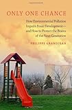 Only One Chance: How Environmental Pollution Impairs Brain Development -- and How to Protect the Brains of the Next Generation (Environmental Ethics ... ETHICS AND SCIENCE POLICY SERIES)