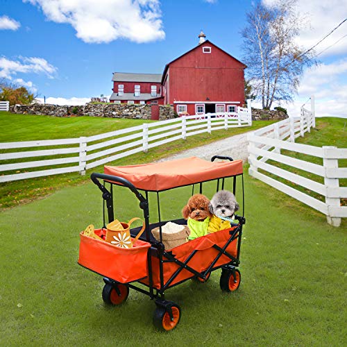 GBU Push and Pull Folding Collapsible Utility Wagon AllTerrain