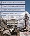 DANISH ENDURANCE Merino Wool Hiking Socks - Moisture Wicking, Cushioned to Prevent Blisters - For Men, Women, 3 Pair Pack