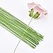 eBoot Floral Stem Wire 18 Gauge Wire 14 Inch, 50 Pack (Green)