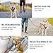 BARKBAY Dog Harness No Pull for Large Dogs - Adjustable, Reflective, Comfortable, No Choke, Heavy-Duty - Perfect for Outdoor Training, Walking, and Hiking - Strong & Durable - XL & Red