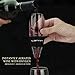 Larnn Wine Aerator Decanter Set Fast Aeration Kit Gift , Great Kitchen Tool for Home Use or Party