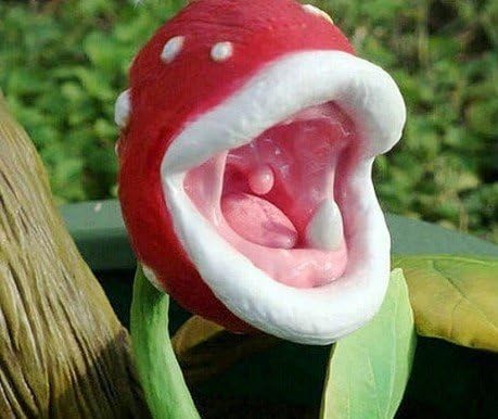 100 insect-catching plant enchantress 