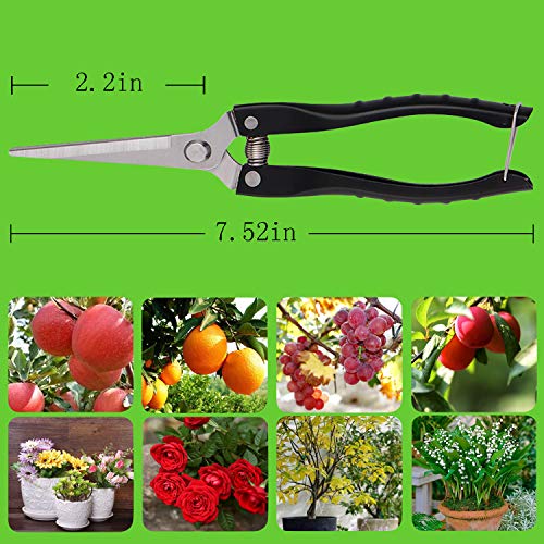 Pruning Shears Straight Tip Pruning Trimming Scissors Florist Scissors-Stainless Steel Ultra Sharp Multi-Purpose Hand Pruner Scissors for Garden Harvesting Fruits Vegetables, Trimming Flowers,Black