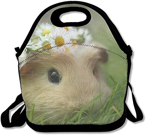 Starmiami Cute Guinea Pig Reusable Tote Lunch Bag Tote Handbag Lunch Boxes For Adults, Kids, Girls, And Women